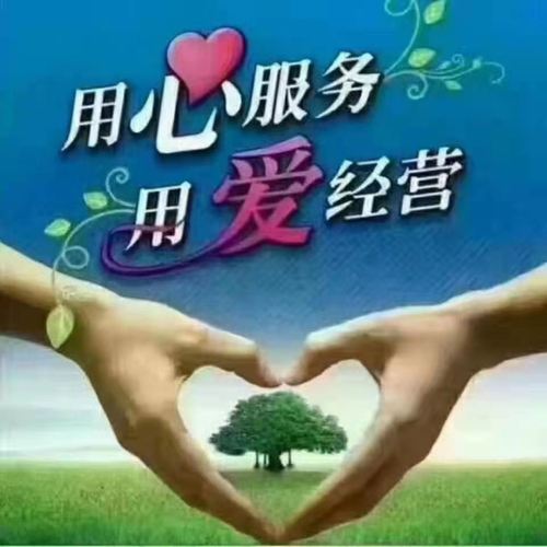 岳西县皖嫂家政服务有限公司